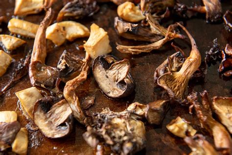  Le Tofu Rôti aux Champignons Sauvages : Une Explosion de Saveurs Umami et une Symphonie Texturale en Bouche!